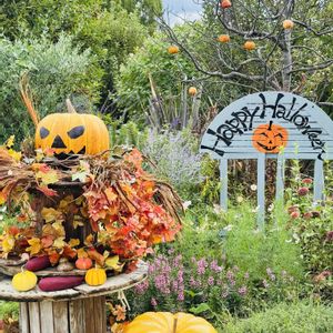 お散歩,ハロウィン,イングリッシュガーデン,お出かけ,琵琶湖 大津館の画像