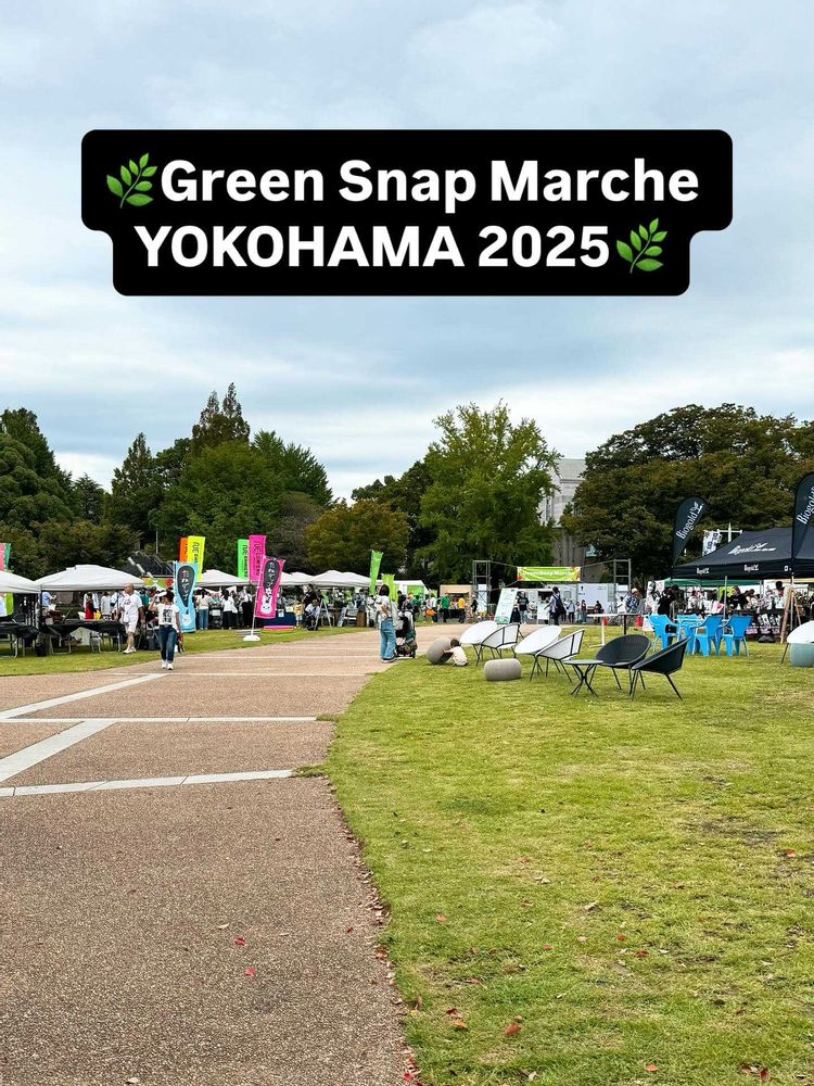 ちゅりさんの山下公園への投稿