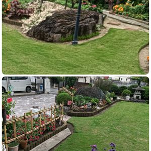 芝生,可愛い,癒される,花のある暮らし,綺麗の画像