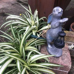 オリズルラン,マンション,うさぎのオブジェの画像