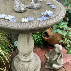 イチゴ,イチゴ,カレックス,カレックス,ルリマツリの画像