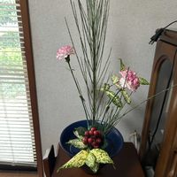 エニシダ,カーネーション,ゴット,ヒぺリカム,和室の画像