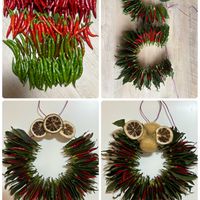 フジバカマ,ヒポエステス,ミモザ,タカノツメ,クウシンサイの画像