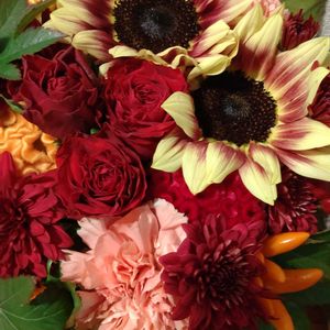 鉢植え,ガーデニング,花束,散策,お祝い花の画像