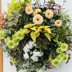 日比谷公園,ハンギングバスケット,ガーデニングショーの画像