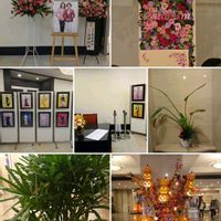 カンノンチク,思い出,お出かけ先の画像