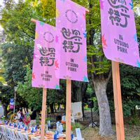 ケイトウ,セルリア,デルフィニウム,かわいいな♡,美しいの画像