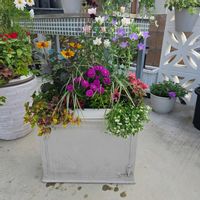 寄せ植え,鉢カバーの画像