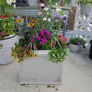 寄せ植え,鉢カバーの画像