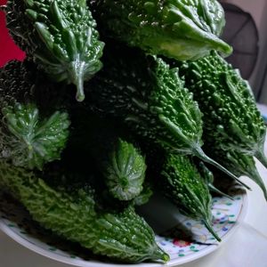 ゴーヤ,ゴーヤ,ポーチュラカ,ポーチュラカ,グリーンカーテンの画像