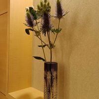 ルリタマアザミの画像