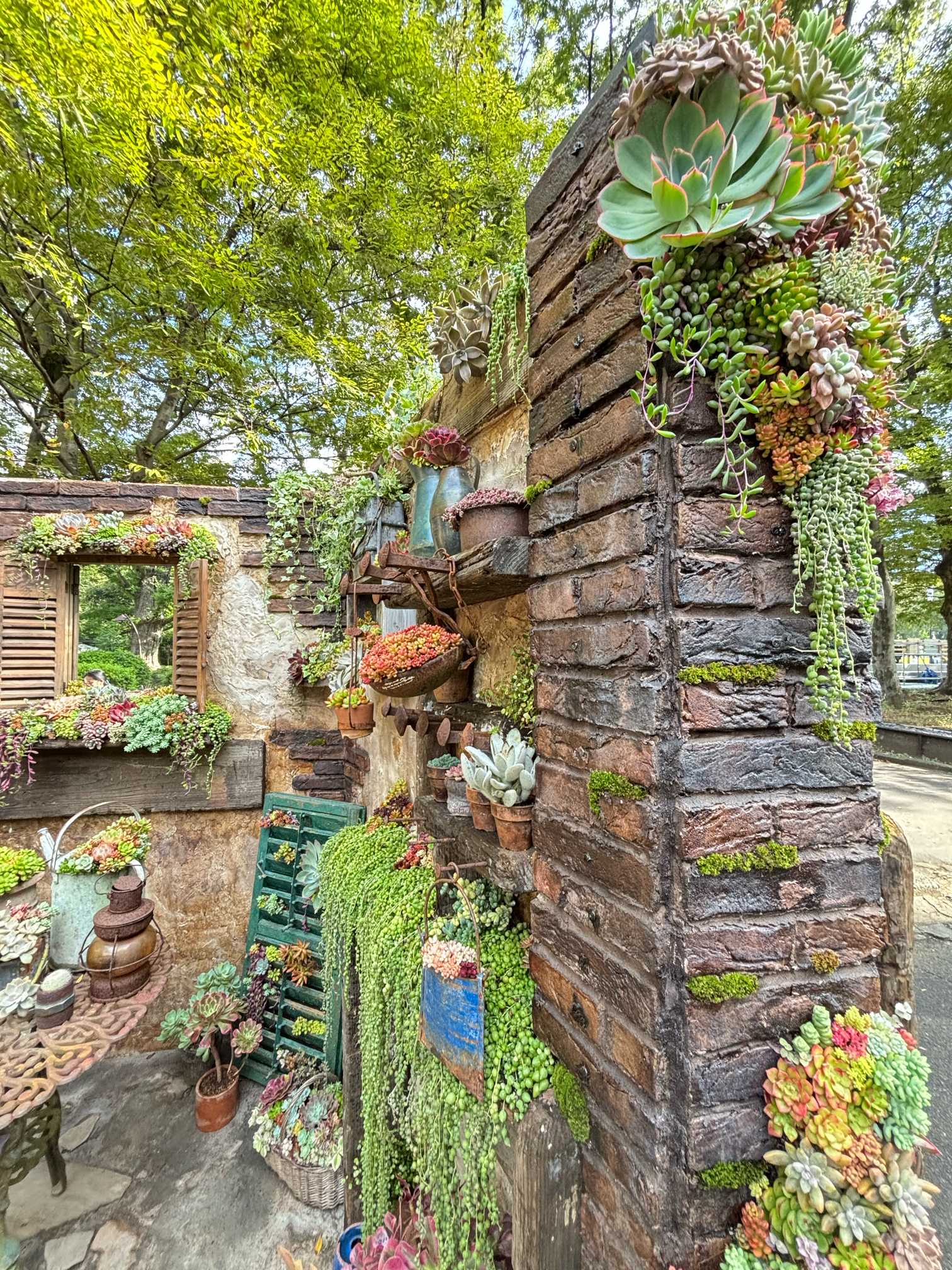 日比谷公園ガーデニングショー2025 𓇥 ֒｜🍀GreenSnap（グリーン