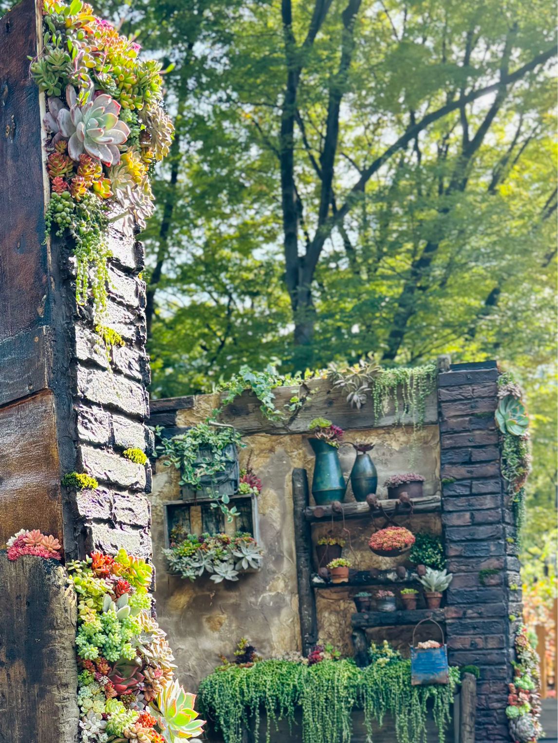 日比谷公園ガーデニングショー2025 𓇥 ֒｜🍀GreenSnap（グリーン