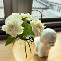 ルリタマアザミ,ミニバラ,ラナンキュラス　ラックス,クラスペディア ゴールドスティック,ザ･フェアリーの画像