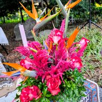 ケイトウ,ストレリチア,ピンクッション,かわいいな♡,美しいの画像