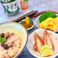 かぼちゃ,山栗,カボス,カボス,クリの画像