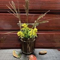 コスモス,ススキ,セイタカアワダチソウ,シノブ,可愛いの画像