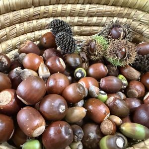 手作り雑貨,自己満上等,木の実で遊ぶの画像