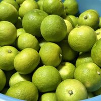 すだち,我が家の庭の画像