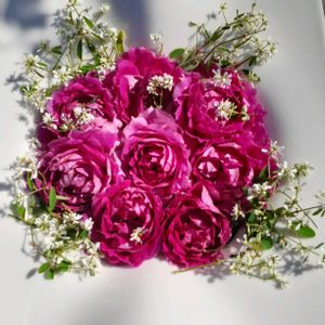 シェラザード,手作りの庭,ロサオリエンティス,バラを楽しむ,咲いてくれてありがとう❤の画像