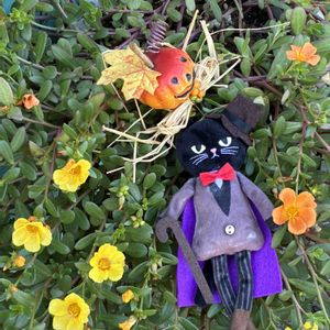 ポーチュラカ,いつもありがとう♡,サボテンの寄せ植え,❤️いいね、ありがとう,繋がりに感謝✨の画像