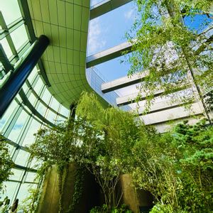 クリスタル,レインボーブリッジ！,お台場方面,屋上庭園♪,スカイツリー!の画像