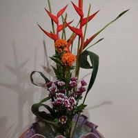 キク,ケイトウ,ハラン,ヘリコニアの画像