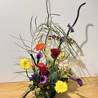 ガーベラ,ガーベラ,カラー,カラー,バラの画像