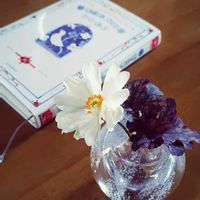 シュウメイギク,ヒューケラ,秋の花,キュンキュン乙女倶楽部,われら17年組の画像