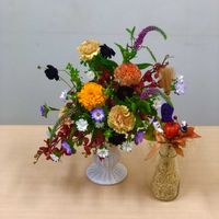 アスター,カーネーション,ケイトウ,ベロニカ,マリーゴールドの画像