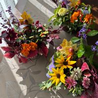 コリウス,コリウス,コリウス,コリウス,ジニアの画像