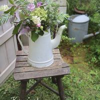 ブッドレア,ローズマリー,アナベル,レイニーブルー,カラミンサ・ネペタの画像