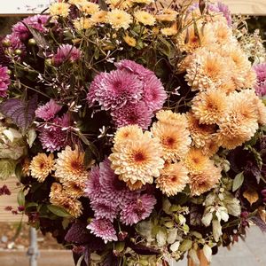 日比谷公園,ハンギングバスケットの画像