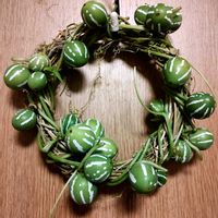 オキナワスズメウリ,ゴーヤのツル,リース,ガーデニング,ネコ好きの画像