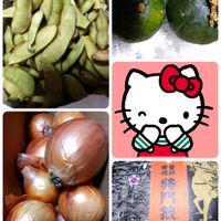 玉ねぎ,枝豆,枝豆「黒豆」,頂き物,南瓜の画像