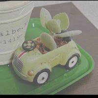 カランコエ,ミロッティ,ミロッティ,ミニ多肉,開運の画像