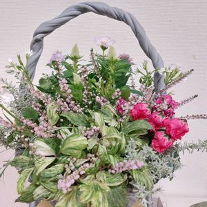 シュウメイギク,ギャザリング寄せ植え,ギャザリング,今日のお花,綱木紋の画像