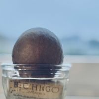 アボカドの種,アボカド 水栽培,カリフォルニアビーチ風の画像