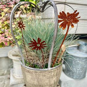 ケイトウ,赤葉センニチコウ,フェスツカ グラウカ,ねこのひげ,ねこのひげの画像