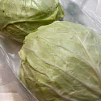 キャベツの画像