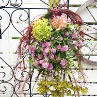 オミナエシ,フジバカマ,パープルファンテングラス,シルバーリーフ,花のある暮らしの画像