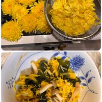 ニンニク,長ナス,小松菜,えんどう豆,ハイビスカス 常夏の香りの画像