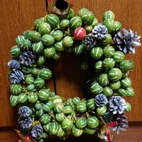 オキナワスズメウリ,オキナワスズメウリ・リースの画像