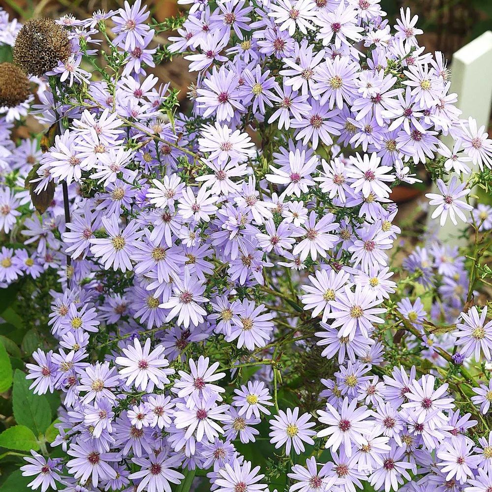 Takaさんの金沢区への投稿