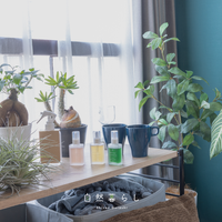 観葉植物,花のある暮らし,植物のある暮らし,肥料,自然のある暮らしの画像