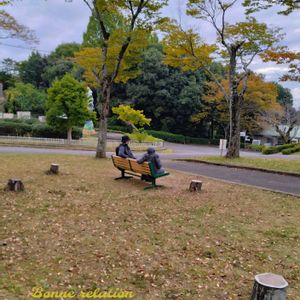 芝生,深まる秋,火曜ベンチ,日本モンキーセンター,老いの境地の画像