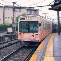 マツ,モミジ,タケ,ミラーレス一眼,寺社仏閣の画像