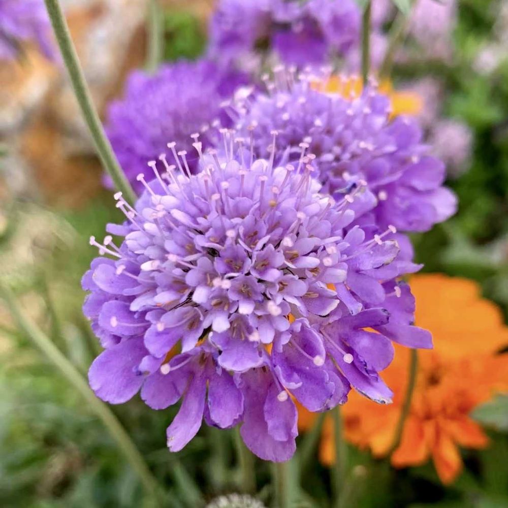 シゲルさんの港の見える丘公園への投稿