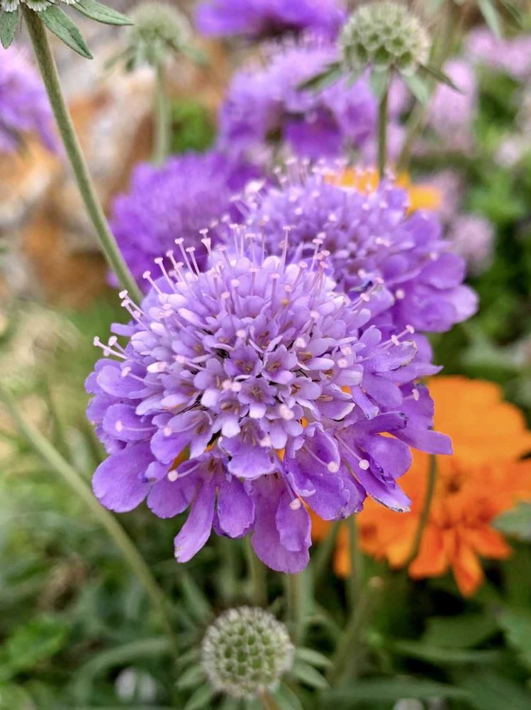 シゲルさんの港の見える丘公園への投稿