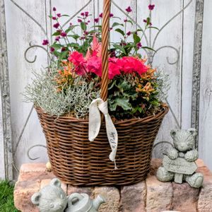 ギャザリング寄せ植え,花のある暮らし,シクラメン寄せ植え,HTC,WEEKEND FLOWERの画像